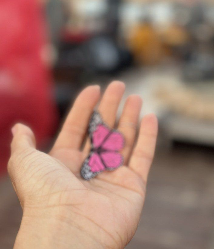 Borboleta pousada na palma da mão